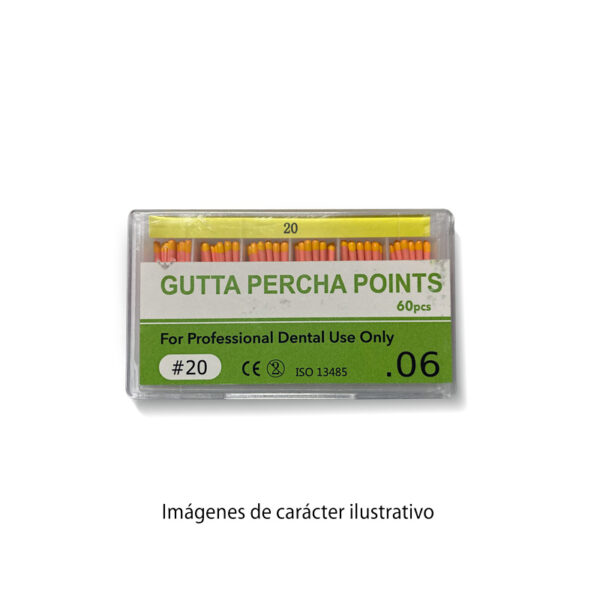 Conos GUTTA Taper06 20 28mm cajax60 TB-Easydent 14-1005 20