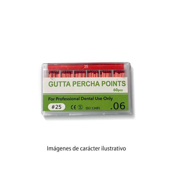 Conos GUTTA Taper06 25 28mm cajax60 TB-Easydent 14-1005 25