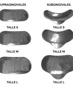 Matriz preformada de acero inoxidable x unidad. COTISEN
